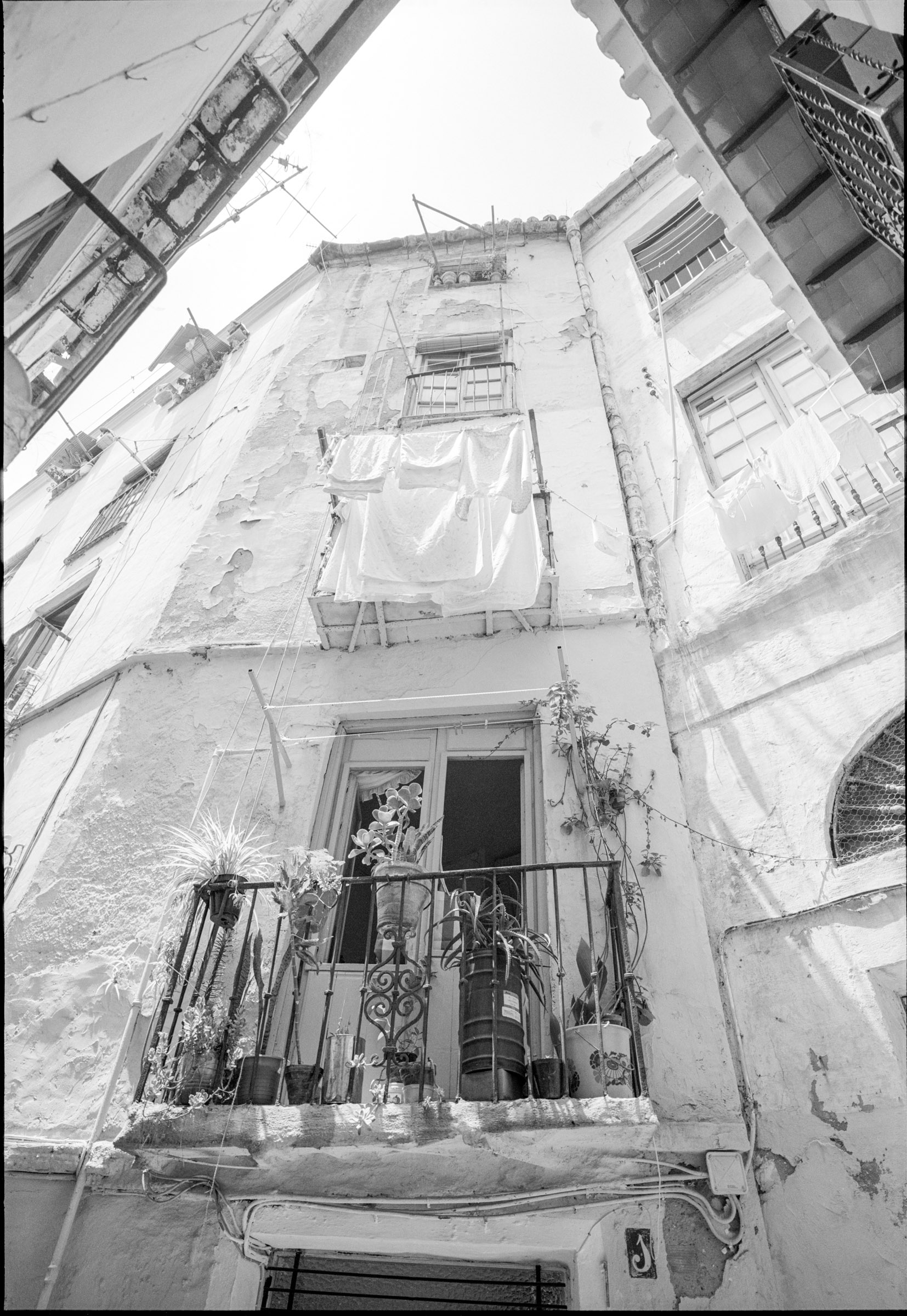 Looking up photograph Spain